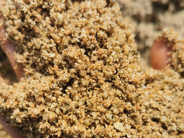 干粉砂浆筛分解决方案